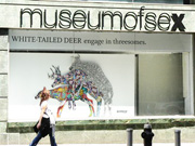 Museum of Sex