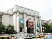 Musée histoire naturelle New York