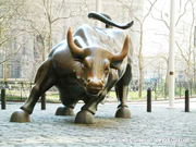 Bull Wall Street