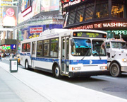 Bus New York