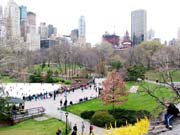 Central Park