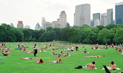 Central Park