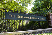 Jardin botanique New York
