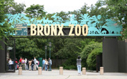 Zoo Bronx